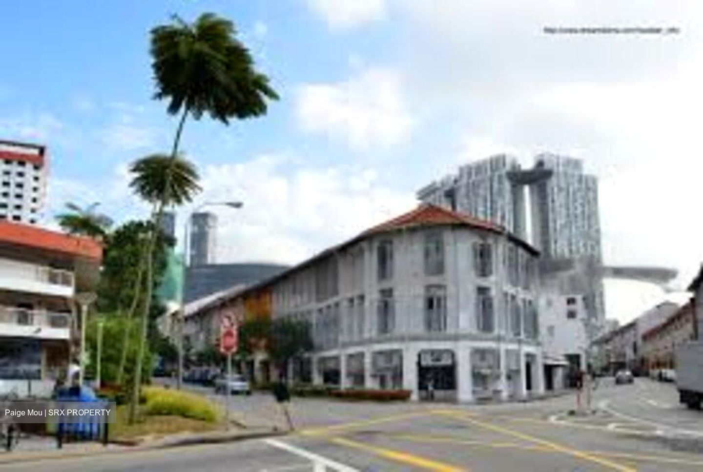 Keong Saik Road (D2), Shop House #463117421